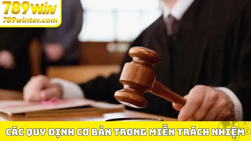 Các quy định cơ bản trong miễn trừ trách nhiệm 