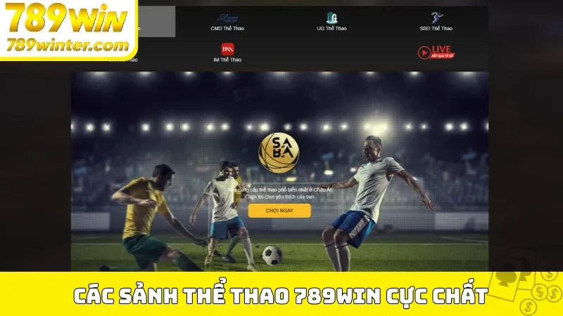Các sảnh thể thao 789Win cực chất 