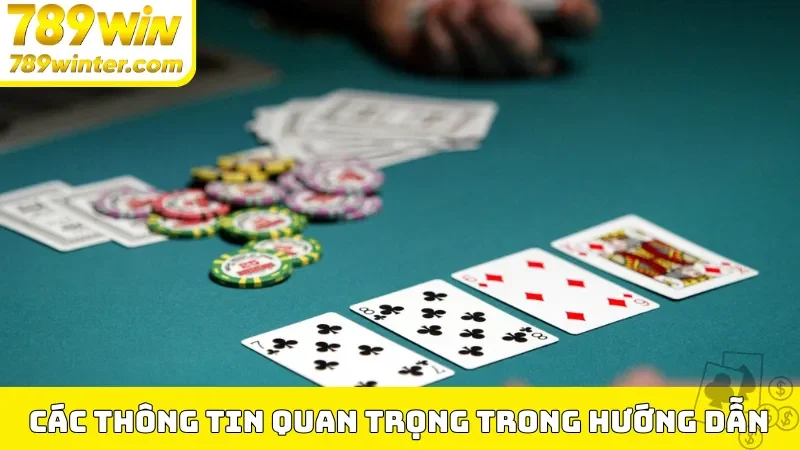 Các thông tin quan trọng trong mục hướng dẫn 789Win