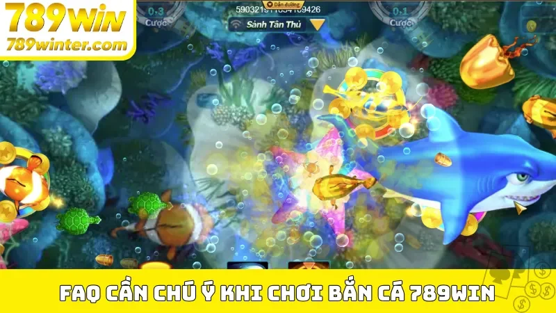 FAQ cần chú ý khi chơi bắn cá 789Win