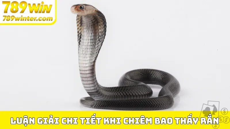 Luận giải chi tiết khi chiêm bao thấy rắn