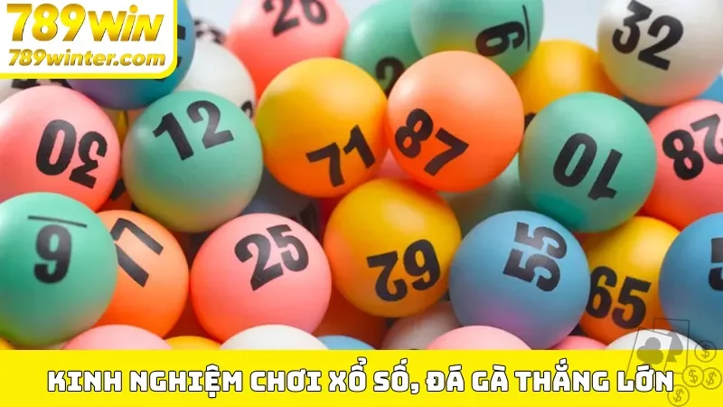 Kinh nghiệm chơi xổ số, đá gà thắng lớn